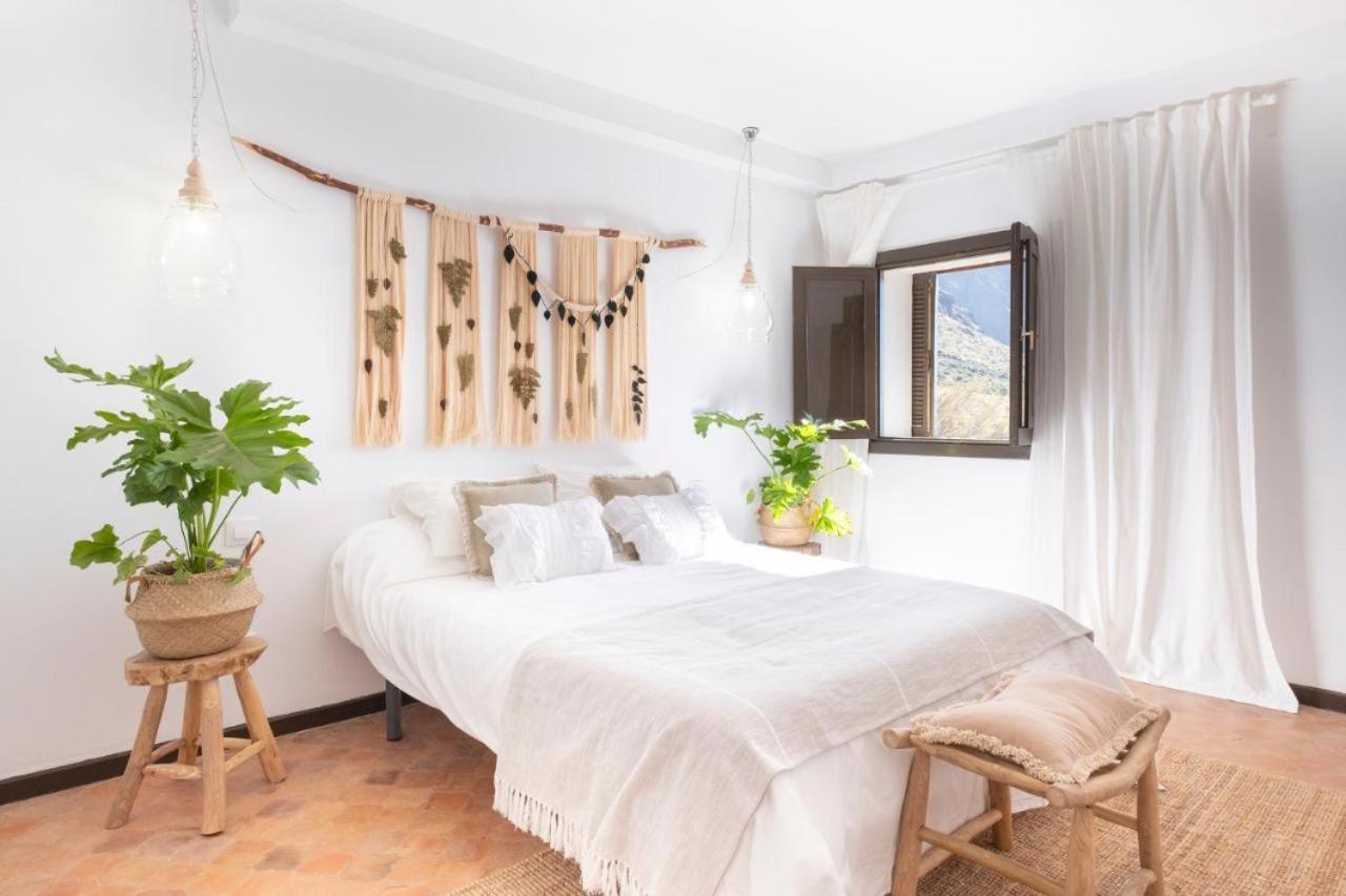 Karat Villa Oasis De Teno Buenavista Del Norte Kültér fotó